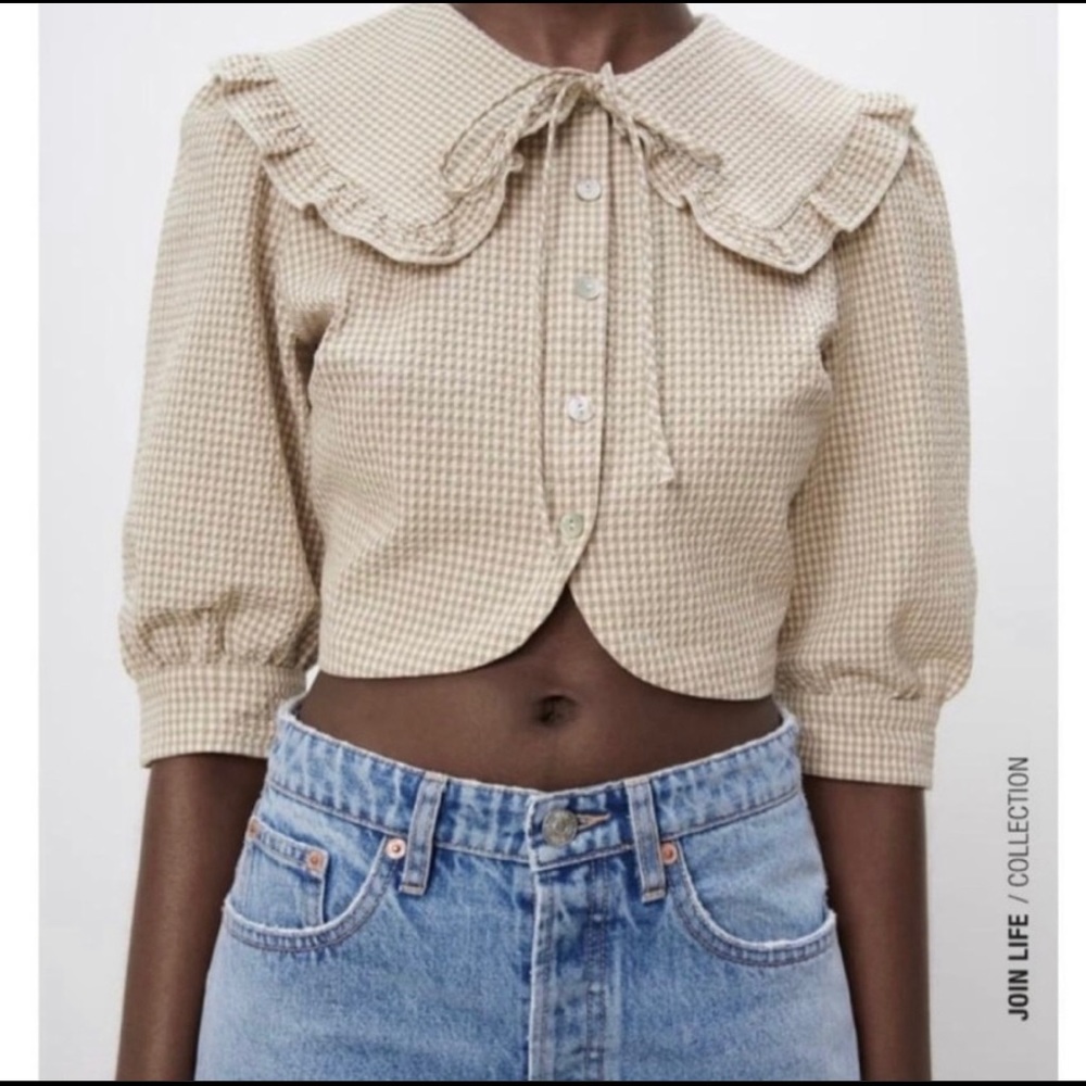 Zara Peter Pan Collar Gingham Top Cottage Core Doen